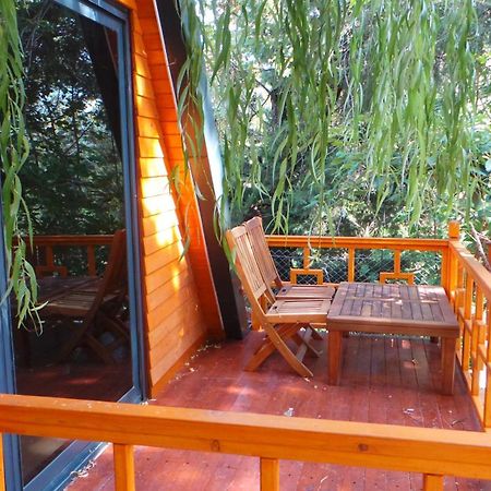 Trinitys Forest Bungalows Kemer Exteriör bild