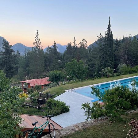 Trinitys Forest Bungalows Kemer Exteriör bild