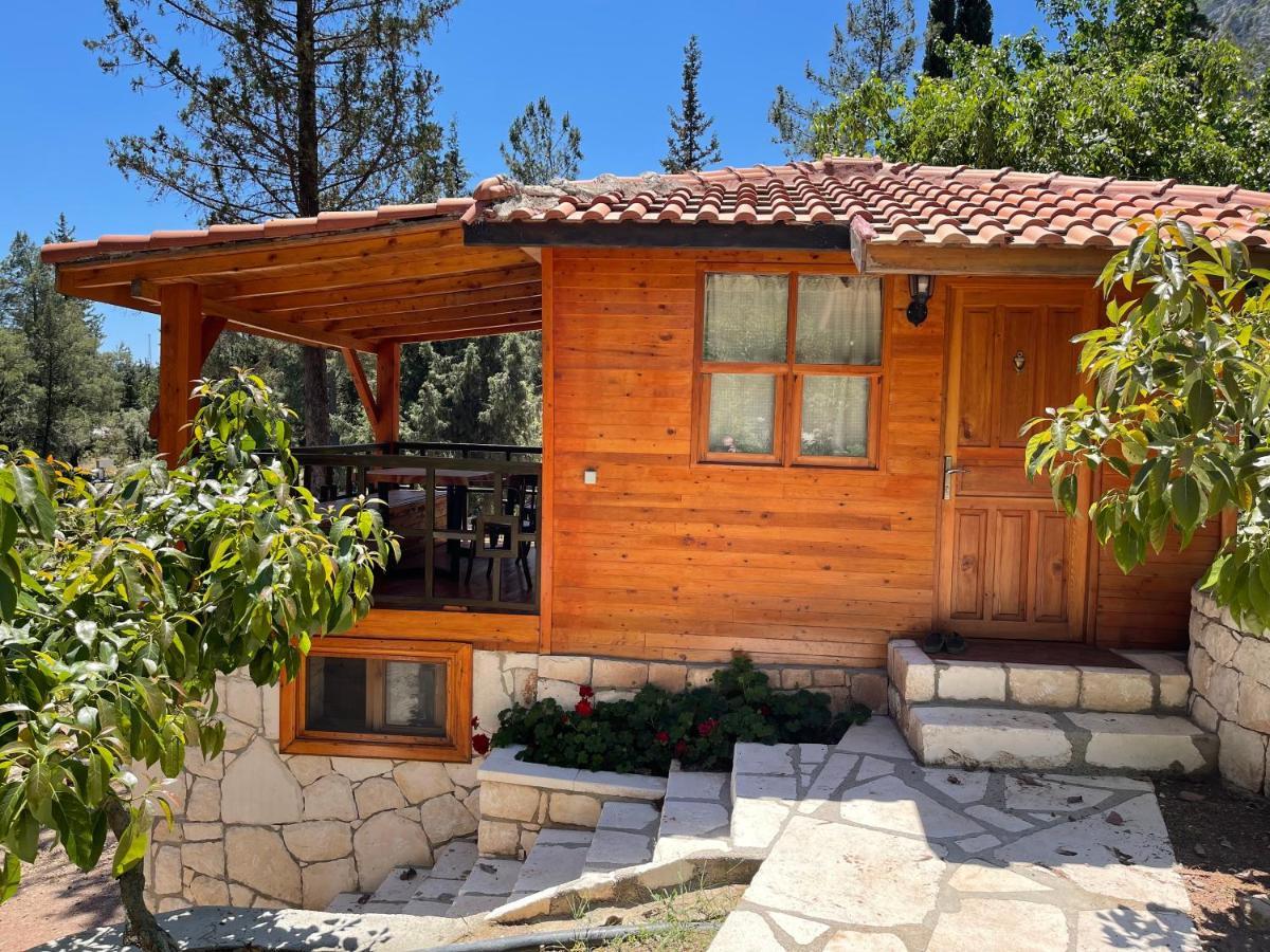 Trinitys Forest Bungalows Kemer Exteriör bild
