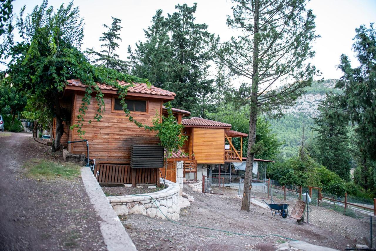 Trinitys Forest Bungalows Kemer Exteriör bild