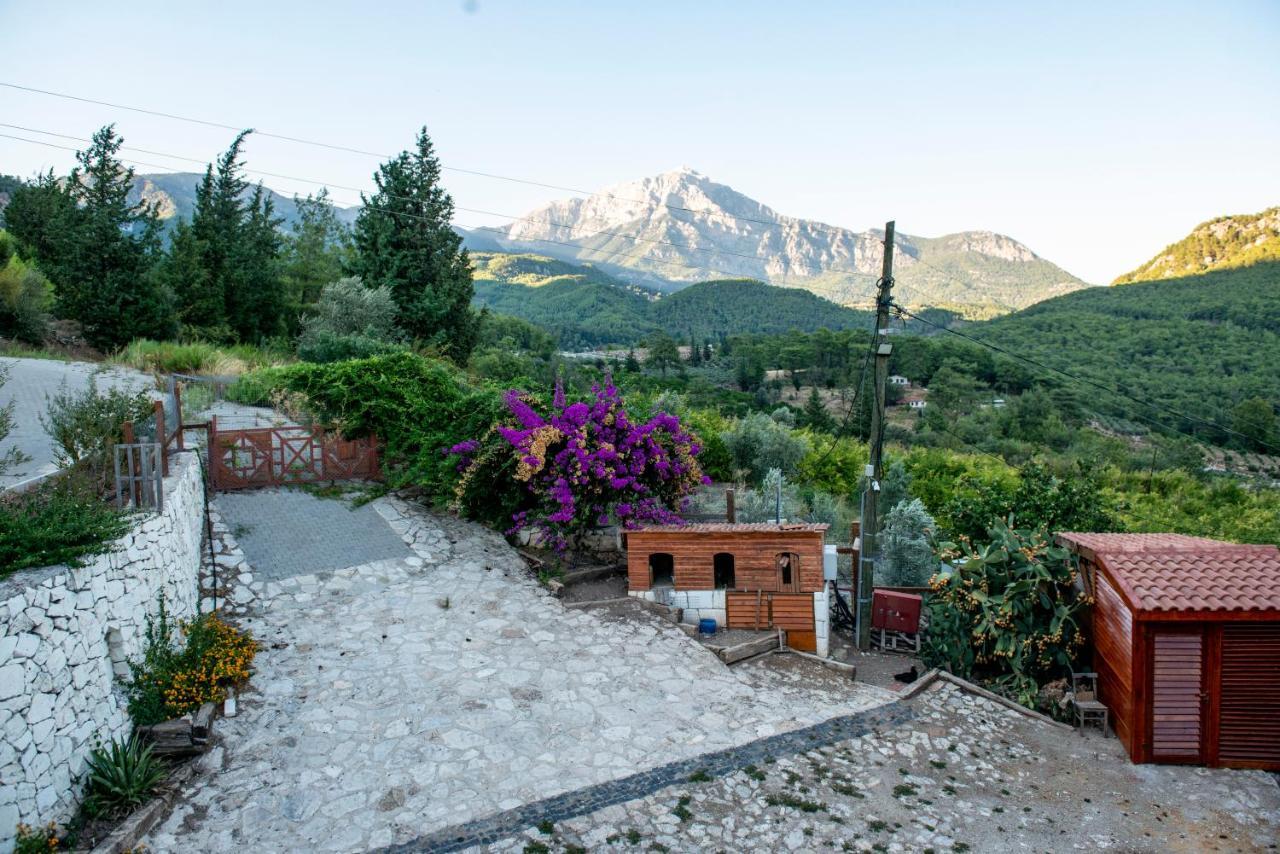 Trinitys Forest Bungalows Kemer Exteriör bild