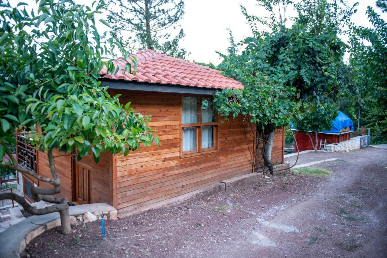 Trinitys Forest Bungalows Kemer Exteriör bild