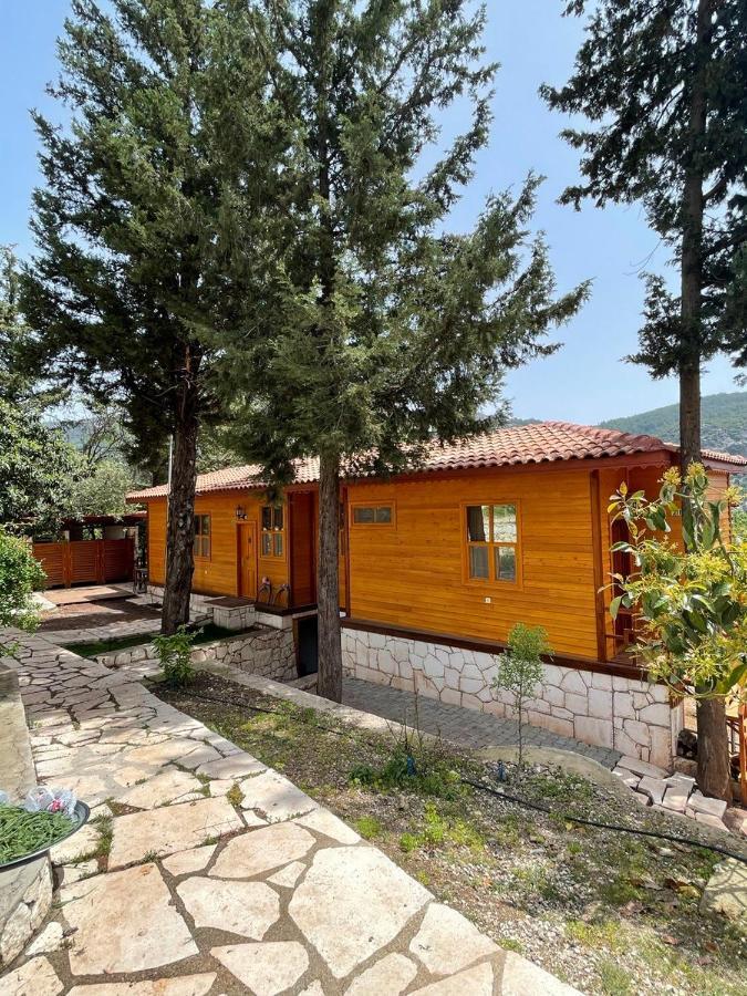 Trinitys Forest Bungalows Kemer Exteriör bild
