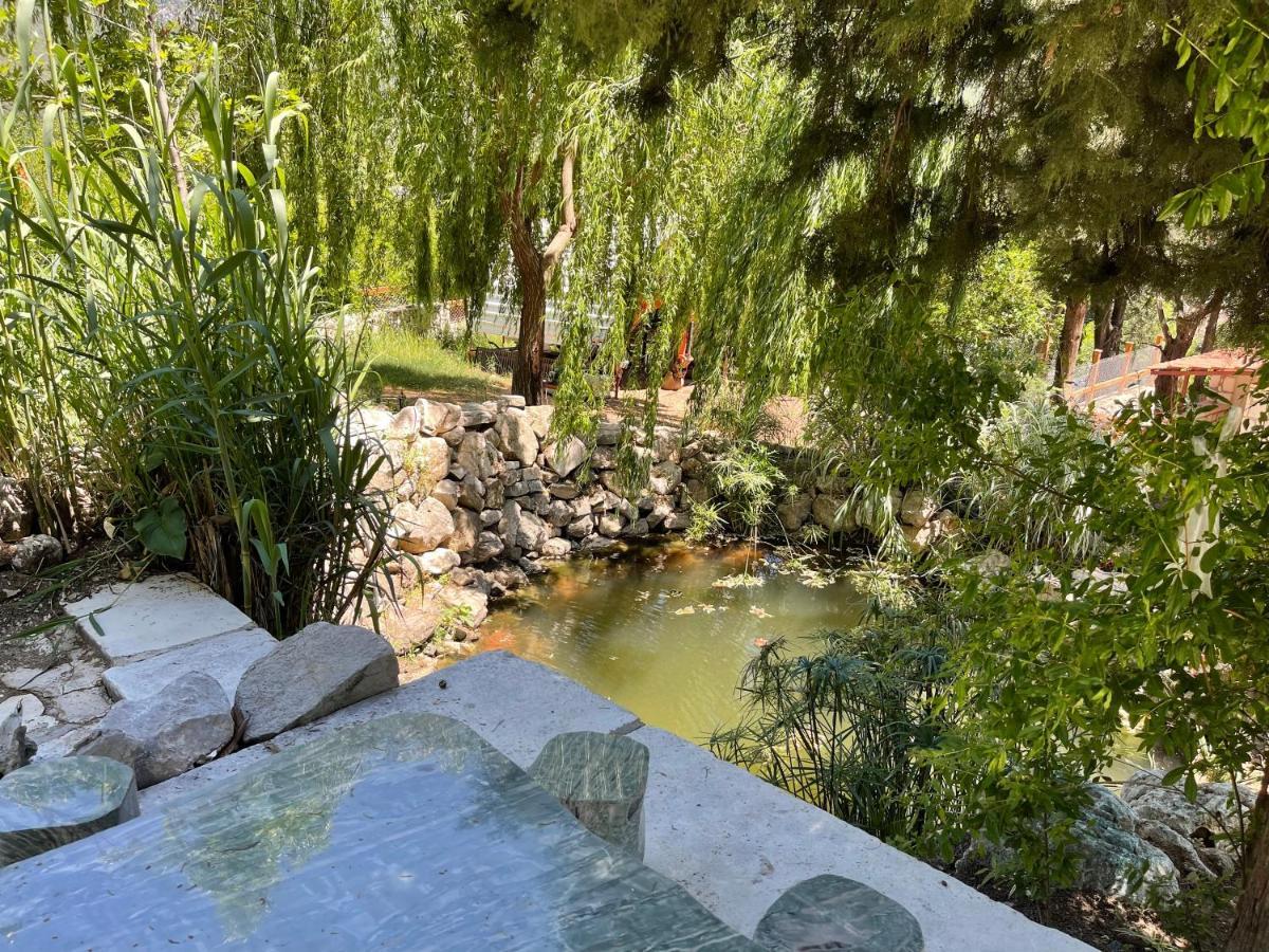 Trinitys Forest Bungalows Kemer Exteriör bild