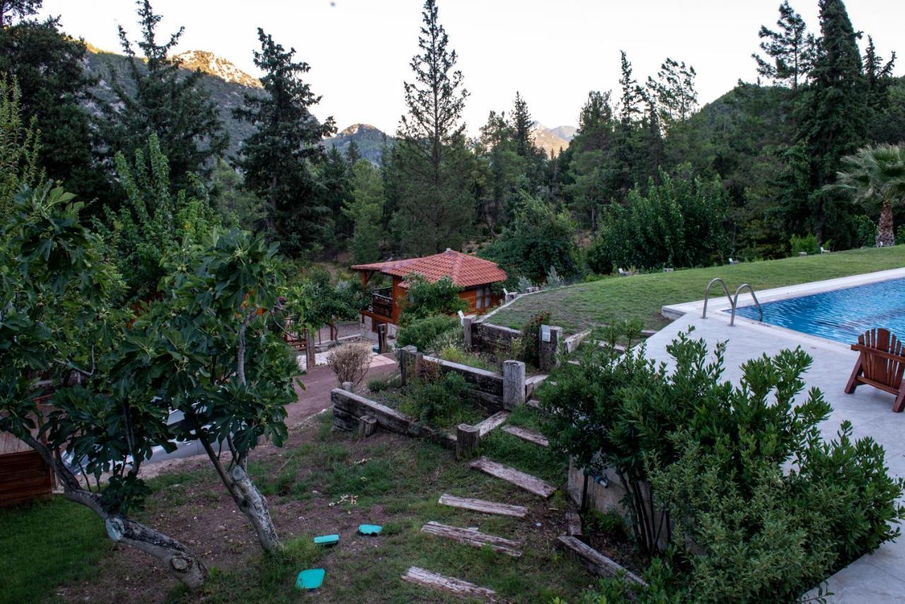 Trinitys Forest Bungalows Kemer Exteriör bild