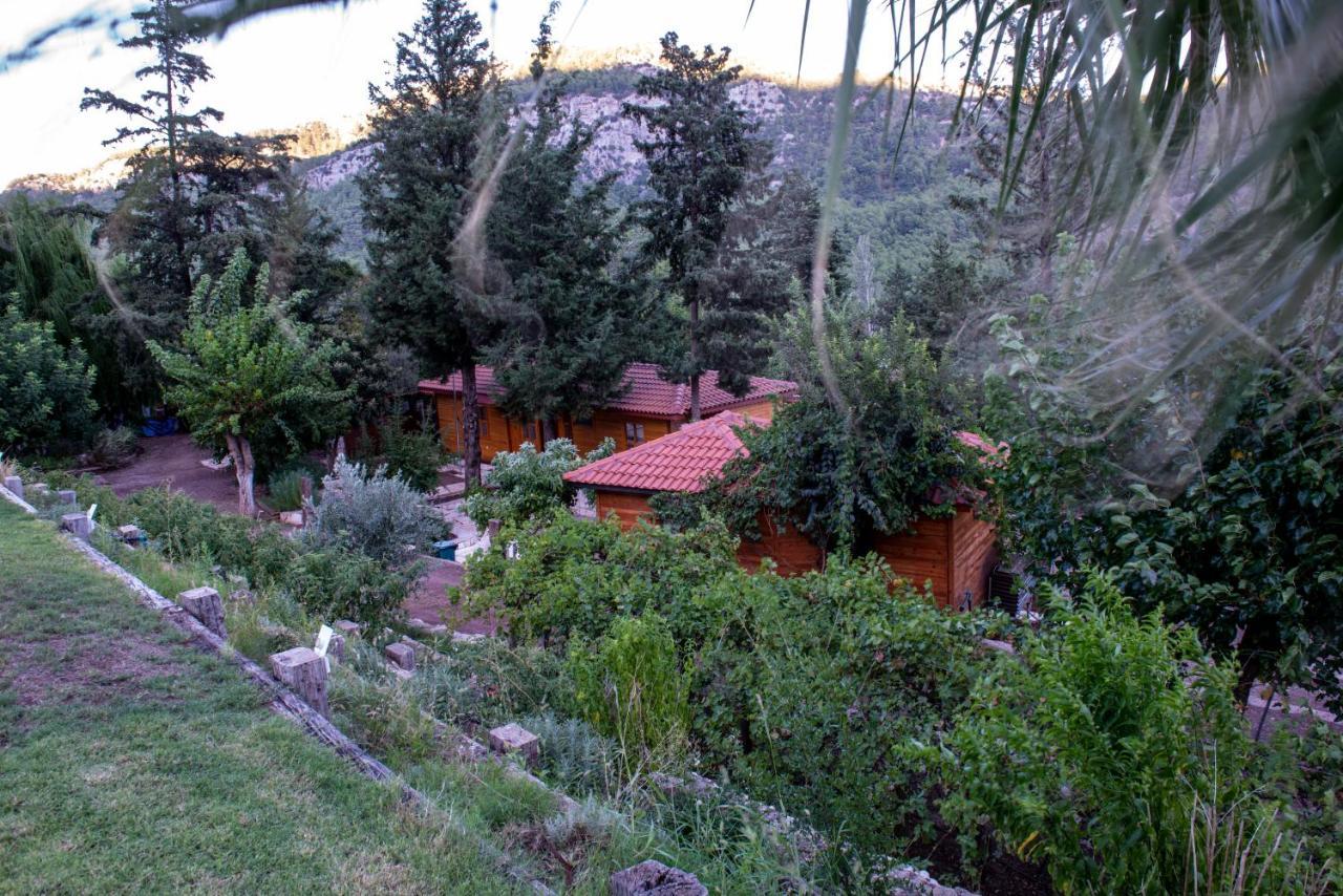 Trinitys Forest Bungalows Kemer Exteriör bild
