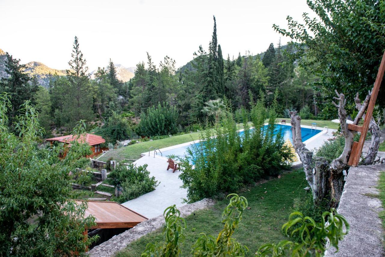 Trinitys Forest Bungalows Kemer Exteriör bild