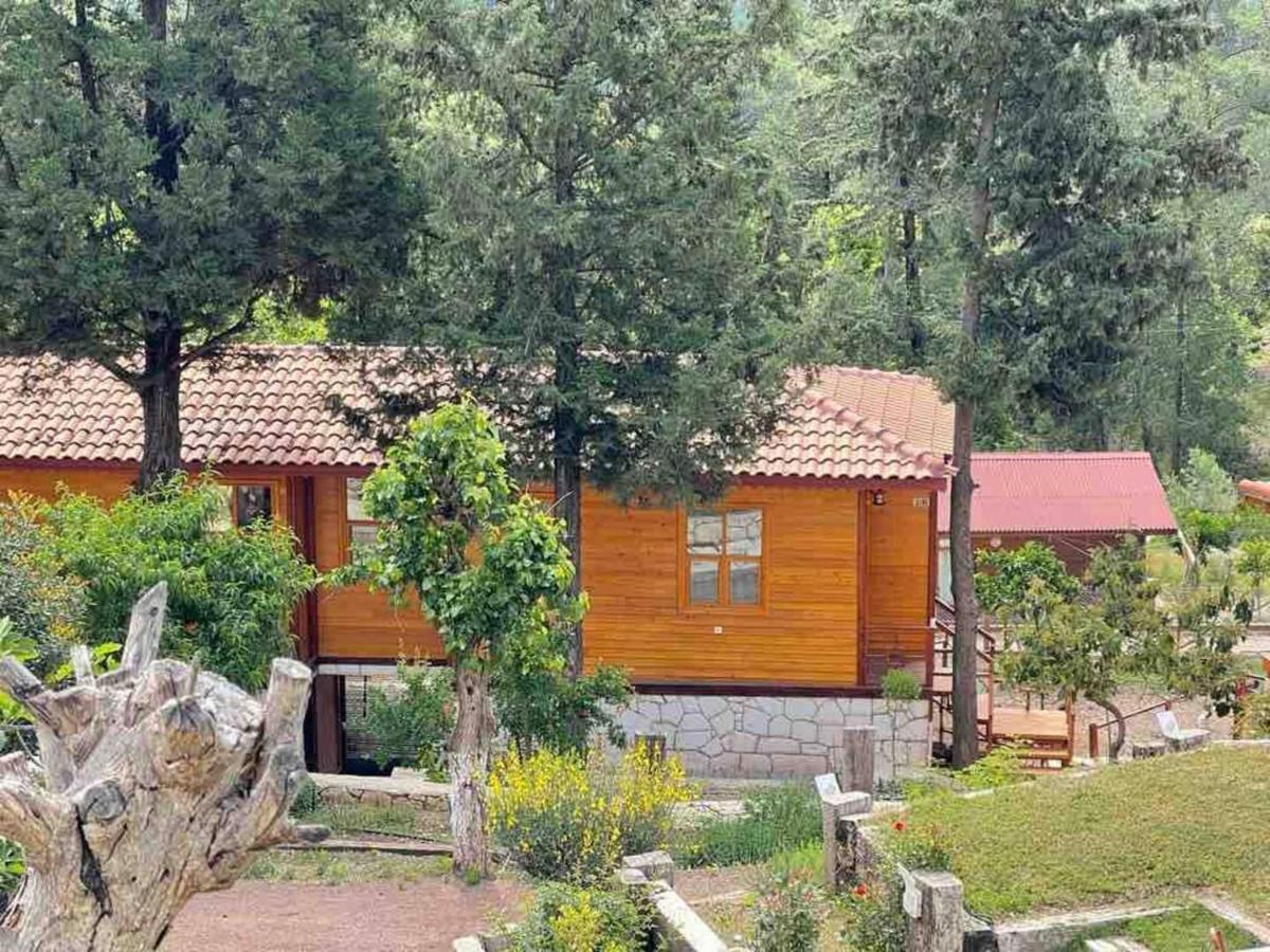 Trinitys Forest Bungalows Kemer Exteriör bild