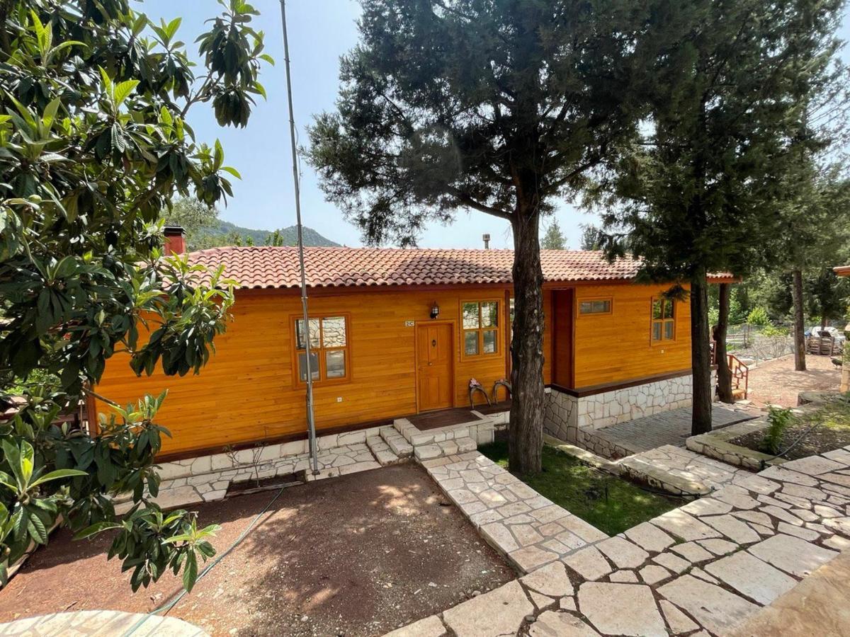 Trinitys Forest Bungalows Kemer Exteriör bild