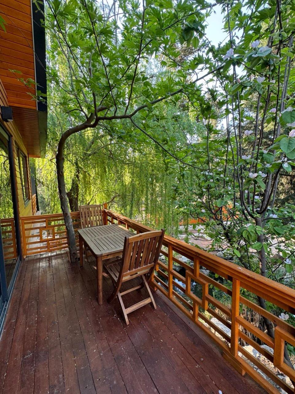 Trinitys Forest Bungalows Kemer Exteriör bild
