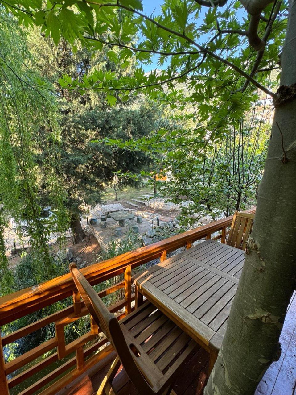 Trinitys Forest Bungalows Kemer Exteriör bild