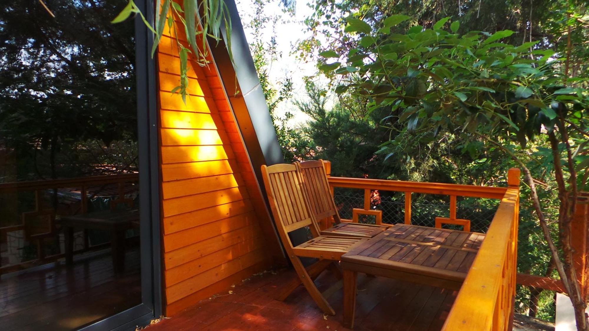 Trinitys Forest Bungalows Kemer Exteriör bild