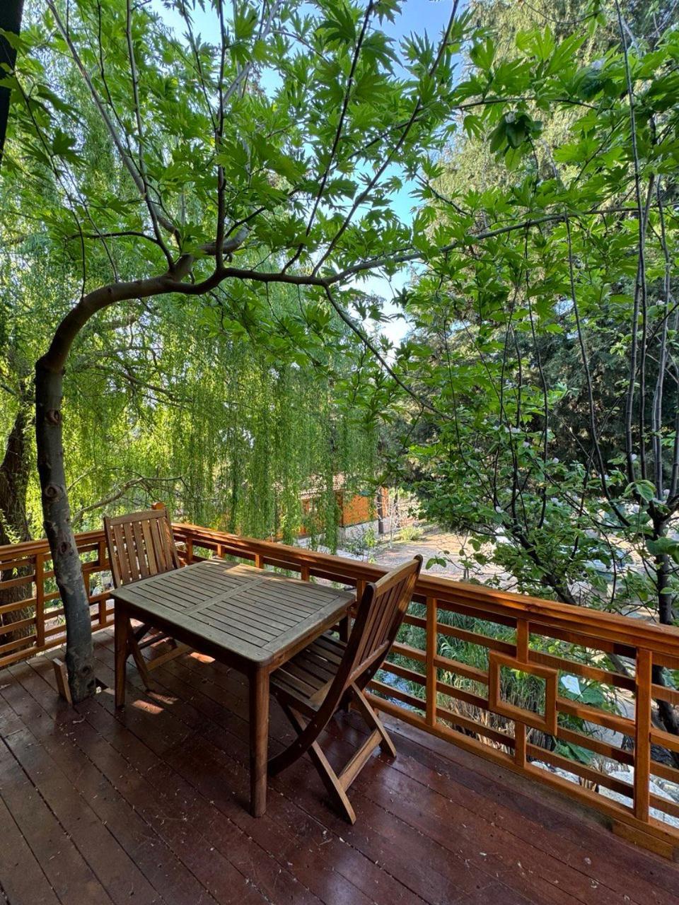 Trinitys Forest Bungalows Kemer Exteriör bild